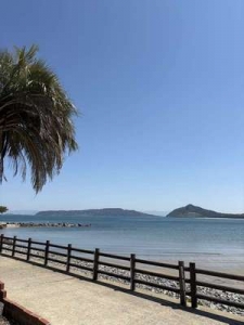 写メ日記の写真...